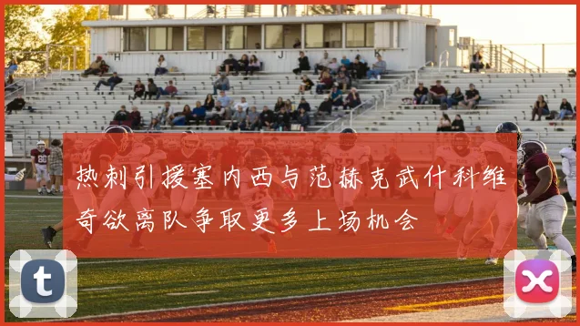 热刺引援塞内西与范赫克武什科维奇欲离队争取更多上场机会
