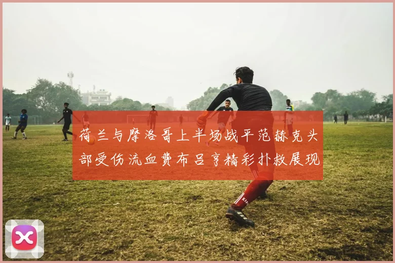 荷兰与摩洛哥上半场战平范赫克头部受伤流血费布吕亨精彩扑救展现实力