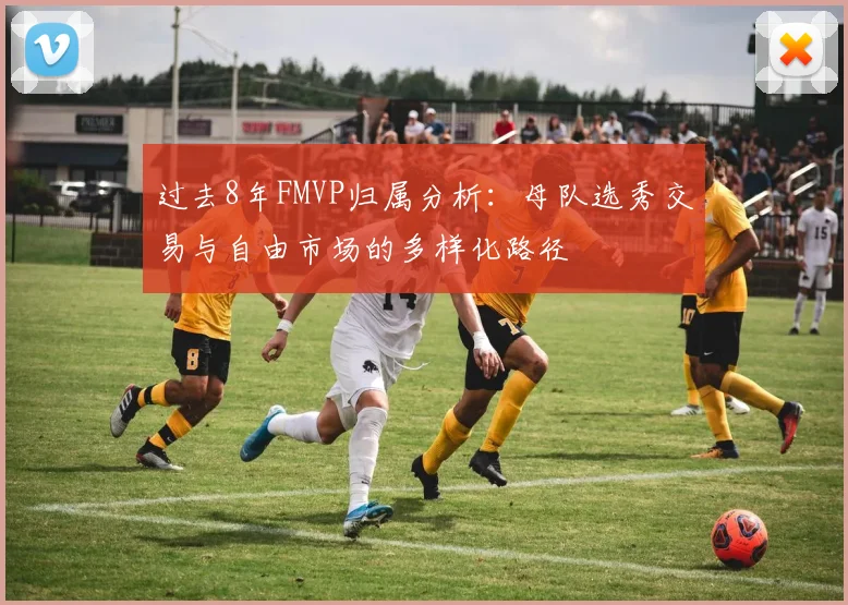 过去8年FMVP归属分析：母队选秀交易与自由市场的多样化路径