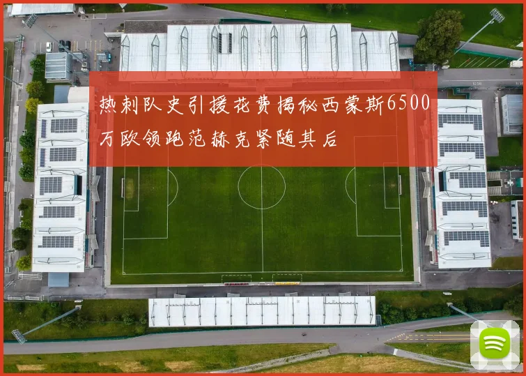 热刺队史引援花费揭秘西蒙斯6500万欧领跑范赫克紧随其后